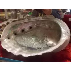 EXTRA LARGE ABALONE SHELL - 8" LONG