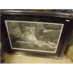 FRAMED LIMITED EDITION PRINT - HIMALAYAN HUNTER - SNOW LEOPARD - READLEY PARISH - ESTIMATED GALLERY 