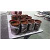 Image 2 : VARIOUS SIZES OF TERRACOTA APPETIZER DISHES