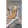 Image 2 : EXERCISE EQUIPMENT