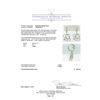 Image 3 : 1.03 ctw Diamond Earrings - 14KT White Gold