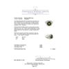 Image 3 : 4.79 ctw Green Tourmaline and Diamond Ring - 18KT White Gold