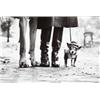 Image 1 : ELLIOTT ERWITT (American, b. 1928) NEW YORK signed in black ink below image on recto signed, titl...