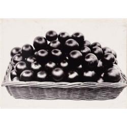 CHARLES JONES (British, 1866-1959) TOMATO perfection inscribed and initialed “Tomato Perfection/C...