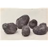Image 1 : CHARLES JONES (British, 1866-1959) POTATO UNSUITABLE FOR PLANTING inscribed and initialed “Uneven...
