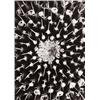 Image 1 : ALBERT RENGER-PATZSCH (German, 1897-1966) MAMMILLARIA ANGULARIS titled “Mammillaria angularis” in...