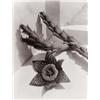 Image 1 : IMOGEN CUNNINGHAM (American, 1883-1976) STAPELIA gelatin silver print 915?16 x 715?16 in. (25.2 x...