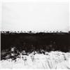 Image 1 : HARRY CALLAHAN (American, 1912-1999) CAPE COD signed “Harry Callahan” in pencil below image gelat...