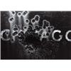 Image 1 : AARON SISKIND (American, 1903-1991) CHICAGO AUTO GRAVEYARD titled, dated and signed “Auto Graveya...