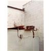 Image 2 : WILLIAM EGGLESTON (American, b. 1939) UNTITLED 5 chromogenic color prints each: 413?16 x 31?2 in....