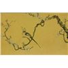 Image 8 : Chen Hongshou 1598-1652 Watercolour on Silk