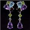 Image 1 : Natural Multi Gemstone EarRing