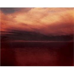 RICHARD MISRACH (American, b. 1949) SALTON SEA (RED) editioned, titled, signed and dated “15/25 S...