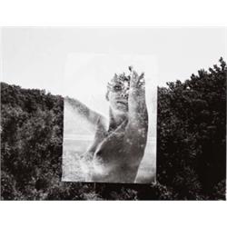 HARRY CALLAHAN (American, 1912-1999) MULTIPLE EXPOSURE signed, titled and dated “Harry Callahan, ...