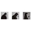 Image 1 : ROBERT MAPPLETHORPE (American, 1946-1989) LISA LYON 3 gelatin silver prints each: 23?16 x 23?16 i...