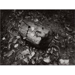 JOSEF SUDEK (Czech, 1896-1976) LOG AND LEAVES signed in image on recto gelatin silver print 7 x 9...