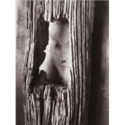 ANDR… KERT…SZ (American, b. Hungary, 1894-1985) ARMONK signed “A.KertÈsz” in blue ink on verso st...