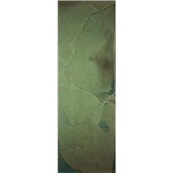 SUSAN DERGES (British, b. 1955) ICE unique Cibachrome photogram 663?4 x 24 in. (169.5 x 61 cm) Fe...
