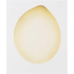 ADAM FUSS (British, b. 1961) UNTITLED signed in red colored pen on verso unique Cibachrome photog...