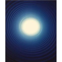 ADAM FUSS (British, b. 1961) UNTITLED unique Cibachrome photogram 241?2 x 20 in. (62 x 51 cm) 199...