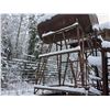 Image 2 : 2 GAS TANKS ON STANDS