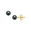 Image 1 : Akoya Cultured Pearl Stud Earrings : 14K Yellow Gold – 5 MM