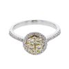 Image 1 : Round-Cut Single Halo Single Shank Cluster Diamond Ring In 14K White And Yellow Gold | 437978