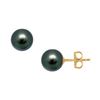 Image 1 : Tahitian Pearl Stud Earrings : 18K Yellow Gold – 12 MM