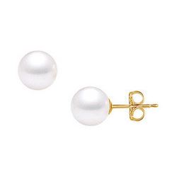 Akoya Cultured Pearl Stud Earrings : 14K Yellow Gold – 11 MM