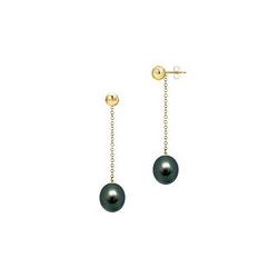 Black Akoya Cultured Pearl Earrings : 14K Yellow Gold – 7 MM