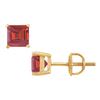 Image 1 : Ruby Stud Earrings : 14K Yellow Gold - 2.00 CT TGW