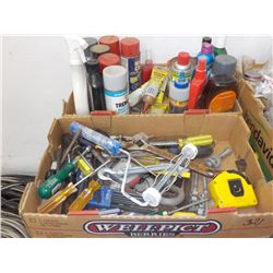 2BL VARIOUS PAINTS & MISC