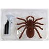 Image 1 : NEW INFRA-RED REMOTE CONTROLLED SPIDER