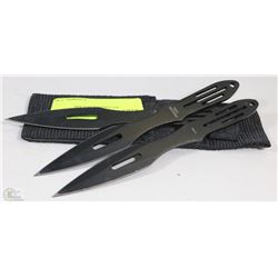 THROWING KNIVES IN CASE