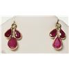 Image 1 : 14K YELLOW GOLD RUBY & DIAMOND EARRINGS