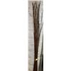 Image 1 : SHOWHOME BUNDLE OF DECORATIVE STICKS