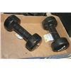 Image 1 : NEW PAIR OF 10LB DUMBELLS