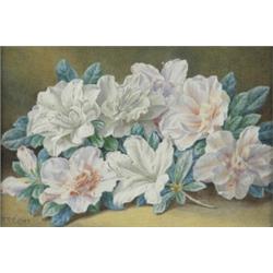 Thomas Frederick Collier (fl. 1848 - 1874), Still Life Of White And Pink Rhododendrons On A Table...