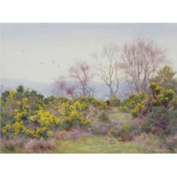 George Marks (fl. 1876 - 1922), Spring On The Moors, figure on a path with gorse in flower, signe...