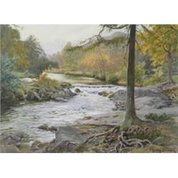 Thomas Ellison (1866 - c.1942), An Upland Stream, wooded landscape in early autumn, signed, water...
