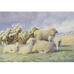 William Sidney Cooper (1854 - 1927), Springtime, sheep and lambs in a sunlit meadow, signed, date...
