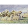 Image 1 : William Sidney Cooper (1854 - 1927), Springtime, sheep and lambs in a sunlit meadow, signed, date...