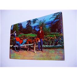 VINTAGE CANADA LOVELY DOG CART POST CARD