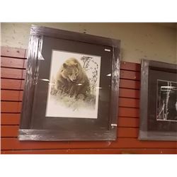 FRAMED LIMITED EDITION PRINT - GRIZZLY IN THE CHOKE CHERRIES - AMY BRACKENBURY - ESTIMATED GALLERY P