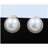 Image 1 : 14K Yellow Gold Pearl Earring:6.9G/Pearl