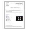 Image 2 : 14K Y/G MABE PEARL AND DIAMOND EARRING/11.94 GRAMS/PEARL 15.00MM APPROX