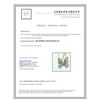 Image 2 : 14K:3.46G/Diamond:0.29Ct