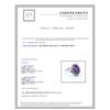 Image 3 : 14K White Gold Amethyst Ring:10.08Gperidot:0.95Ctamethyst:10.97Ct