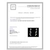 Image 4 : 14K WHITE GOLD DIAMOND EARRING:5.13 GRAMS/DIAMOND:0.88CT