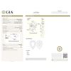 Image 2 : GIA/Pear/FANCY-CLR/VS2/1.01Ct
